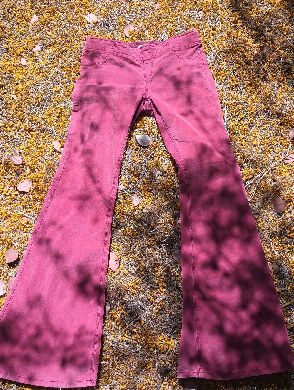 We The Free Pull On Flare Cord Jeans